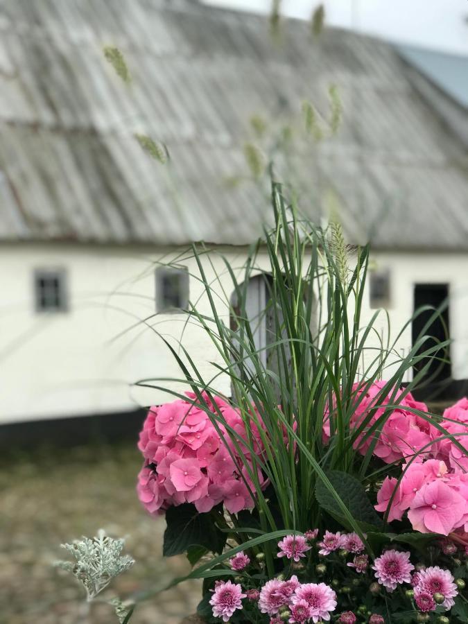 Landligt Ophold Pa Midtgard Apartment Vamdrup Bagian luar foto
